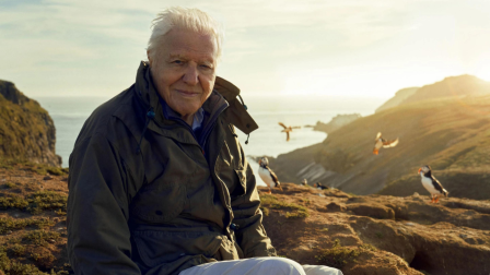 Sir David Attenborough – Wild Isles