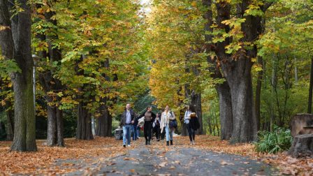 Sopronban találkoznak az európai erdészeti felsőoktatás szereplői