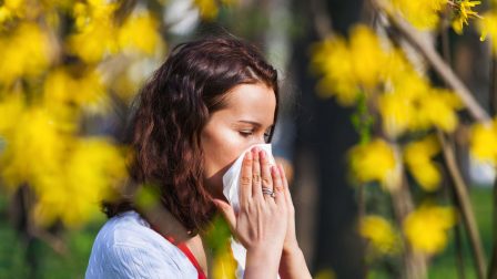 Tavaszi allergia – nagy