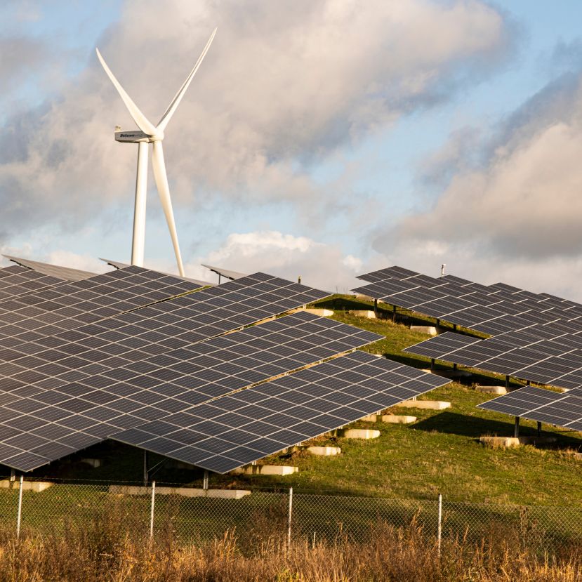Így vált Hollandia Európa vezető napenergia-felhasználójává