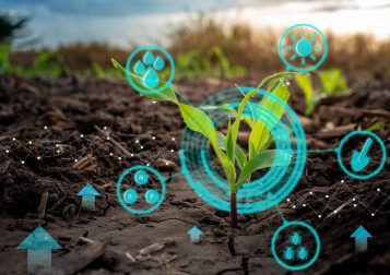 Egy szoftverrel fenntarthatóbbá válna a mezőgazdaság