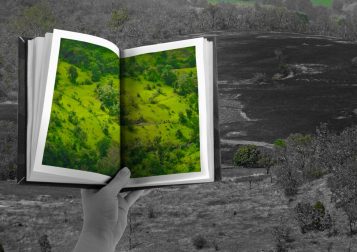 Környezetvédelem egy könyvben