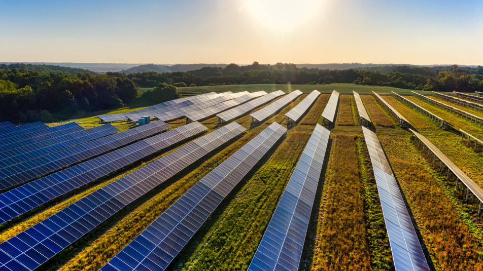 Hogyan válhatnak megújuló energiaforrásokká a műlevelek?