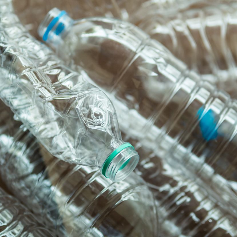 140 nap alatt képes lebontani a műanyagot két gombafaj