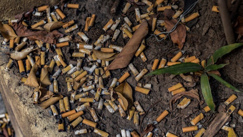Veszélyes méreganyagok szivárognak az eldobott cigarettacsikkekből