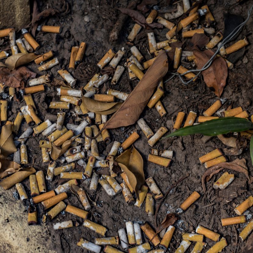 Veszélyes méreganyagok szivárognak az eldobott cigarettacsikkekből
