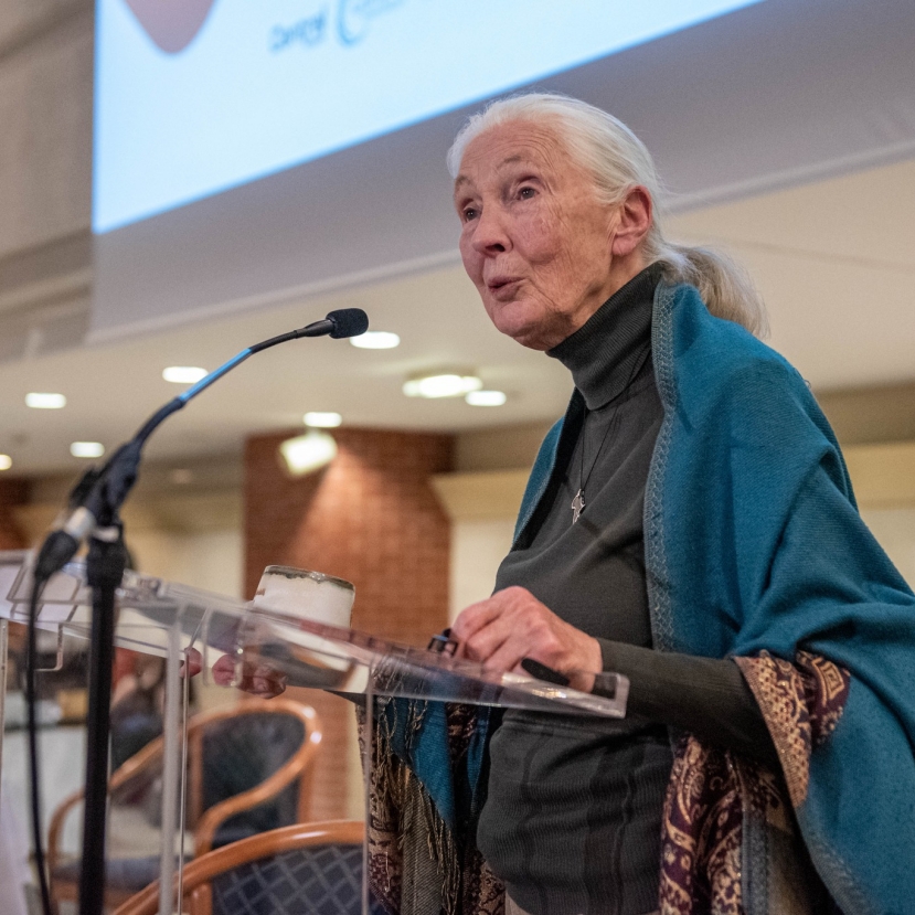 Jane Goodall: „Mindenre van megoldás, és ezt makacsul keresem is!”