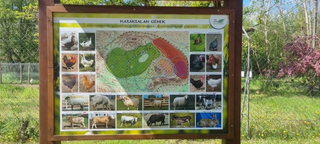 A magyar őshonos állatfajok térképe. 