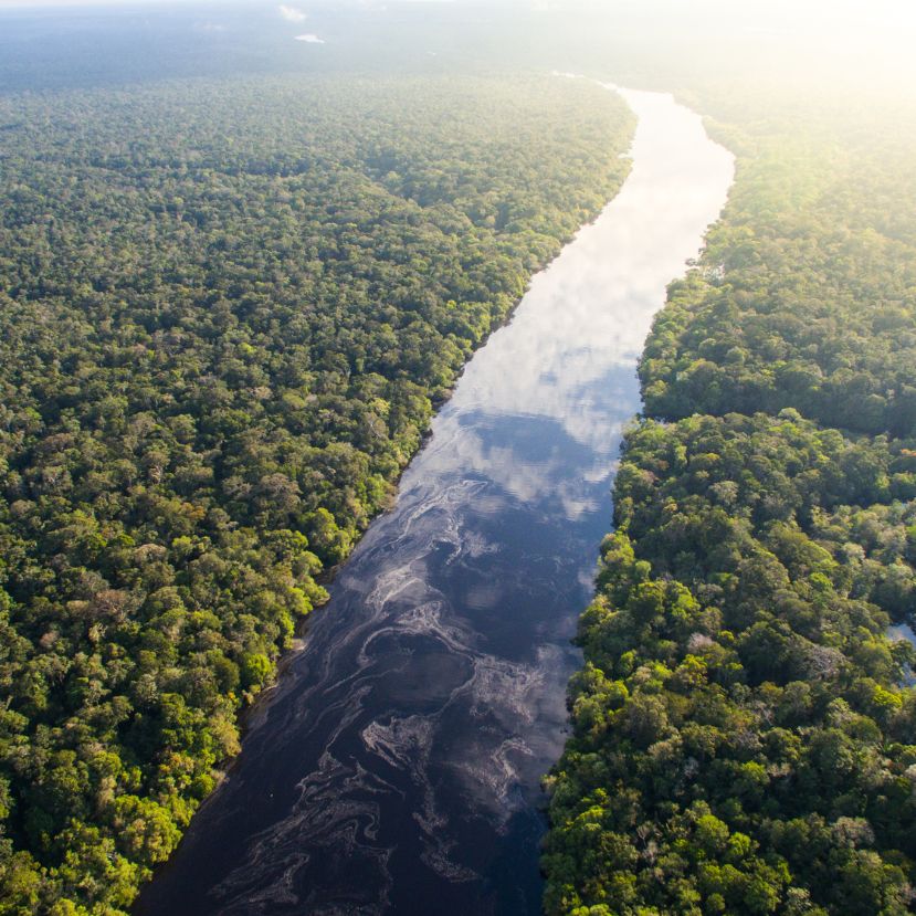 Csökkent az erdőírtás mértéke az Amazonas régióban