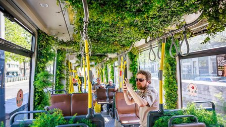 Zöldellő villamossal ösztönöz Antwerpen a városi kertészkedésre
