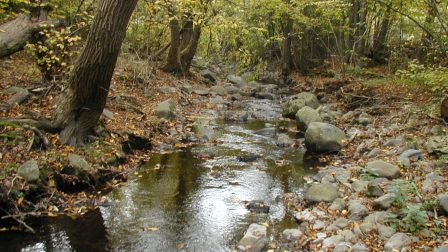 Az erdők és a víz kapcsolatát vizsgálják a Soproni Egyetem kutatói