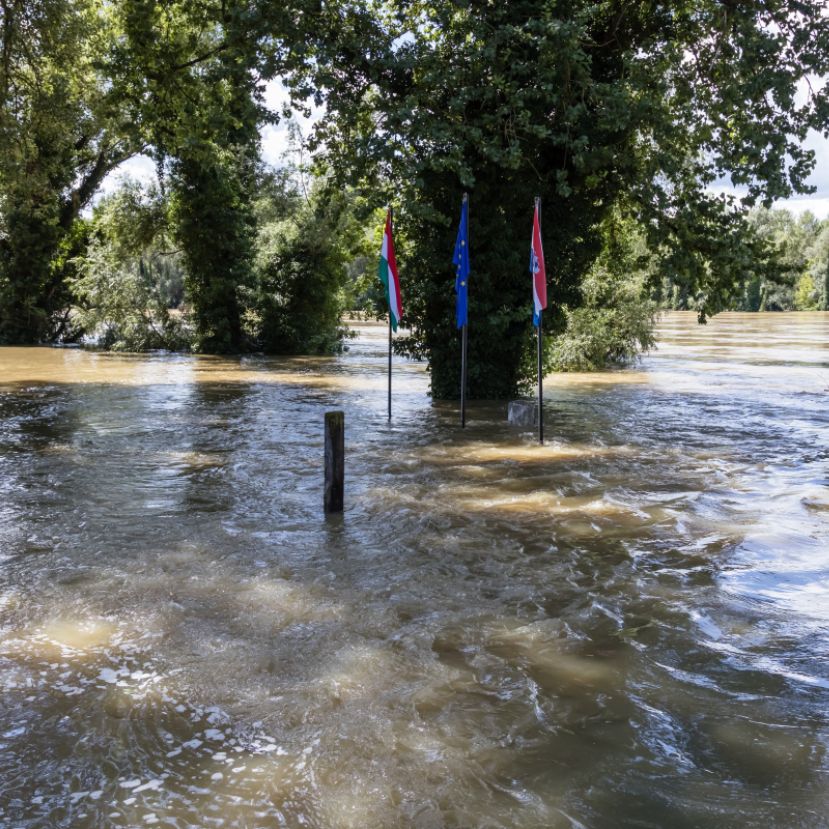 Rekord árvíz a Dráván