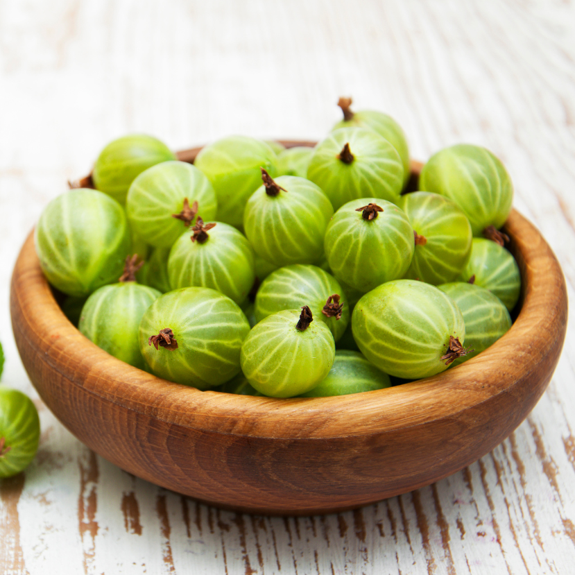 Köszméte, avagy a vitaminokban gazdag egres