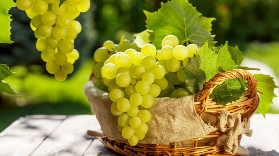 Hamarosan kapható a magyar csemegeszőlő