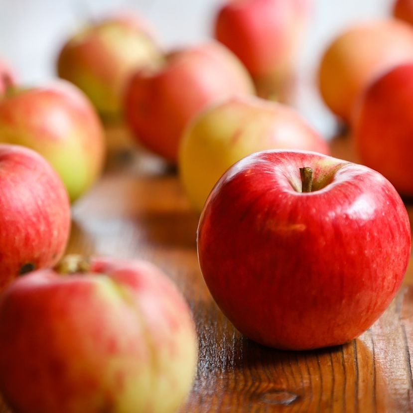 Kedvezett a csapadékos nyár a hazai almaültetvényeknek