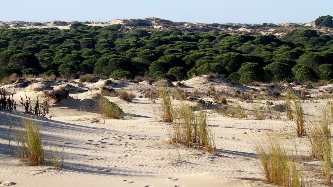 El estanque de España se está llenando de polvo – Greentex