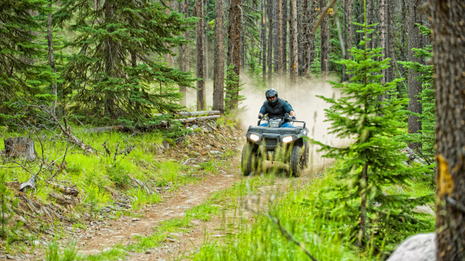 Terepmotor, quad – nem az erdőben és a gyepen a helyük!