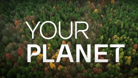 Your Planet – nagy