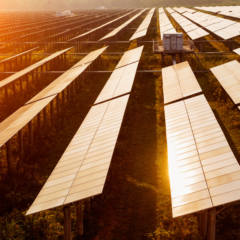 Novemberben elérte az 5500 megawattot a hazai napelemek kapacitása