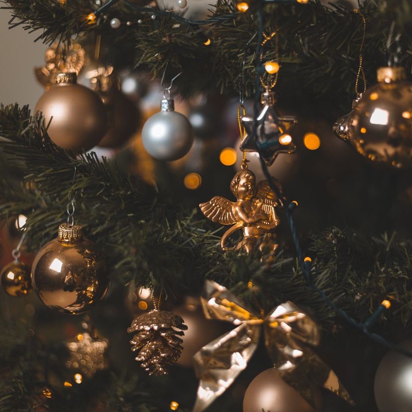 Az első magyarországi karácsonyfa eredete