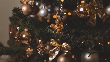 Az első magyarországi karácsonyfa eredete