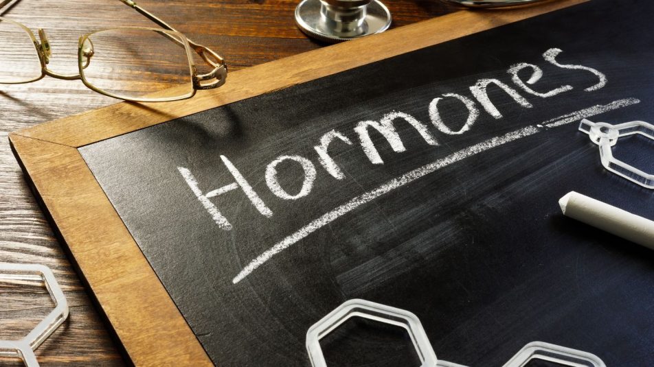 hormonok nagy
