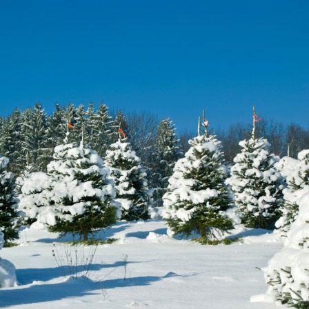 Lesz még fehér karácsony?