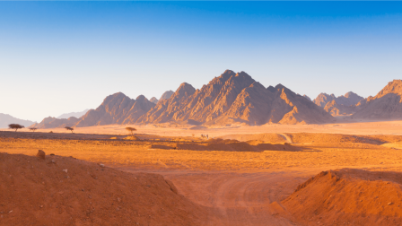 Sivatag – Van élet a száraz kietlenségben?