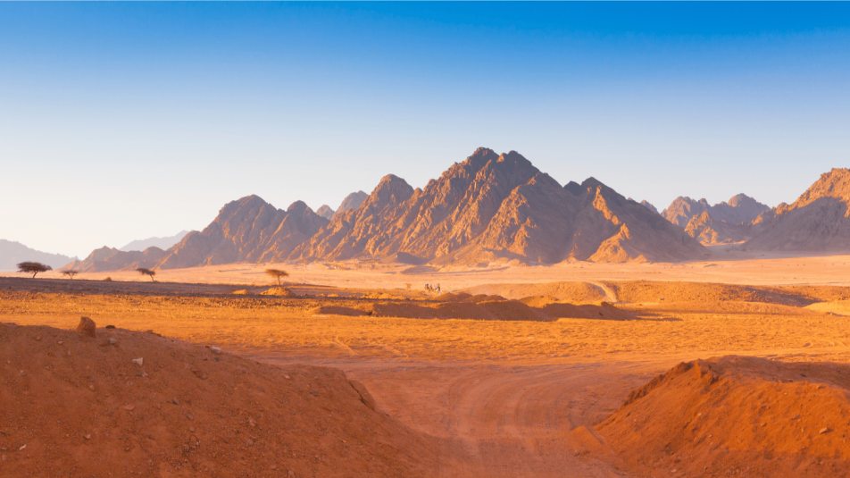 Sivatag – Van élet a száraz kietlenségben?