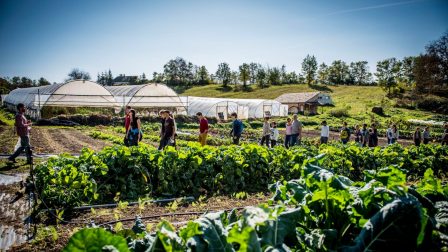 A közösségi mezőgazdaság adhatja vissza az élelmiszerekben megingott bizalmunkat – Podcast
