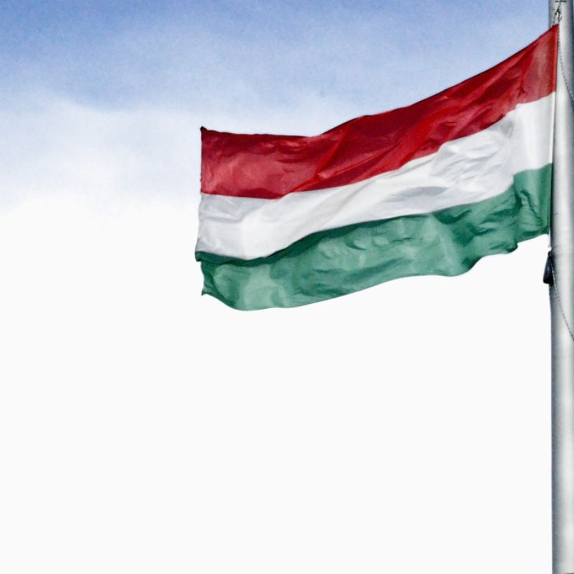 A magyar kultúra napja – Mit ünneplünk, és milyen programok várnak?