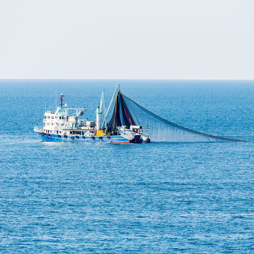 Rengeteg szén-dioxidot juttat a légkörbe a vonóhálós halászat
