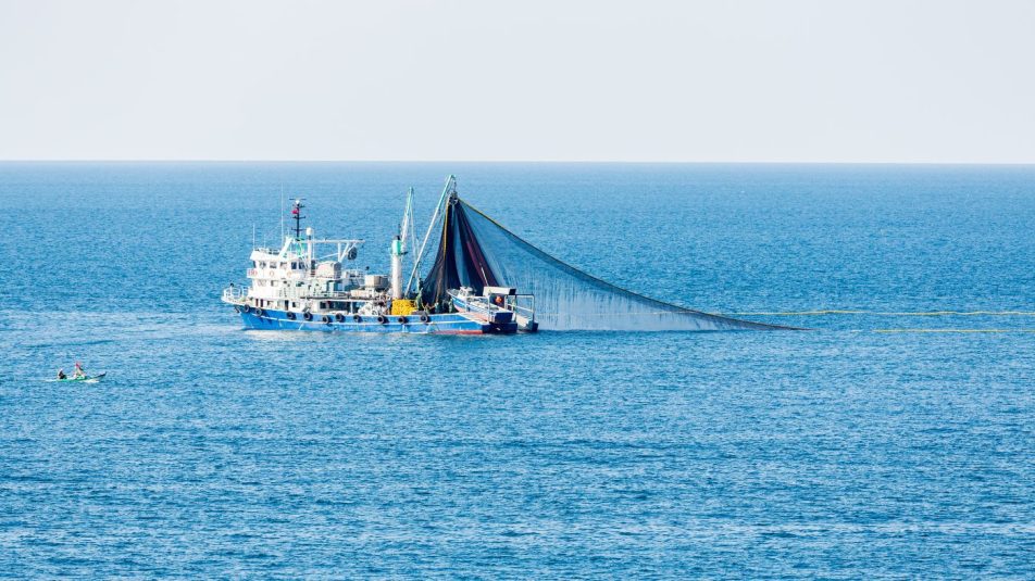 Rengeteg szén-dioxidot juttat a légkörbe a vonóhálós halászat
