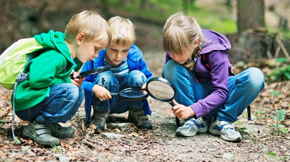 A zöld jövő és 25 millió forint a tét a „Föld bajnokai” pályázaton