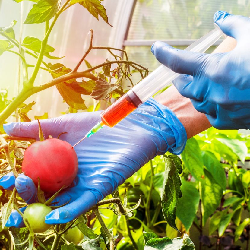 Veszélyeztetné a természetet az új GMO-kkal az Európai Parlament