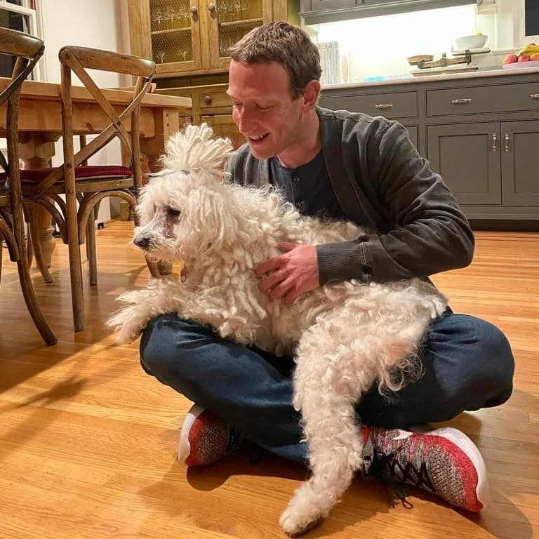 Mark Zuckerberg és pulija, Beast
