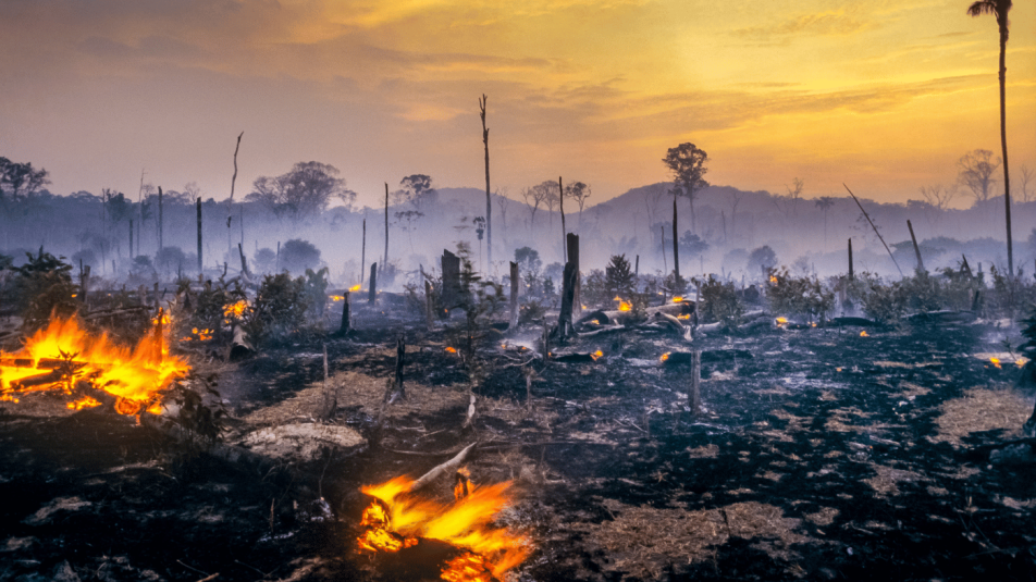 2050 körül jöhet az amazóniai esőerdő fordulópontja