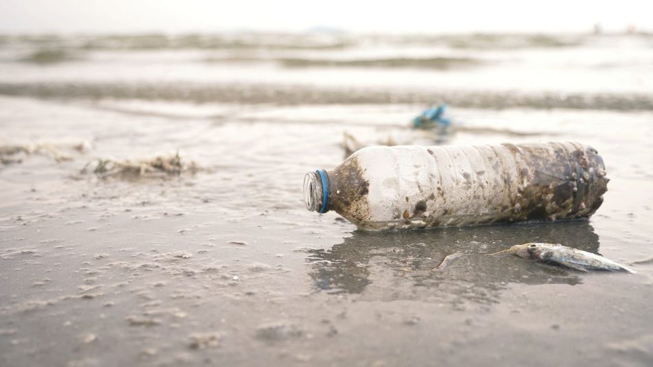 Átfogó reformokra lenne szükség a műanyagszennyezés csökkentéséhez