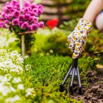 Tudatosan készülnek a tavaszi kerti munkákra hazánkban és a környező országokban