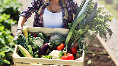 Szezonális hazai élelmiszer az asztalodra – Légy tagja te is egy zöldségközösségnek!