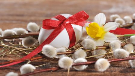 Barka – Mit érdemes tudni a növényről, amely a húsvét jelképe lett?