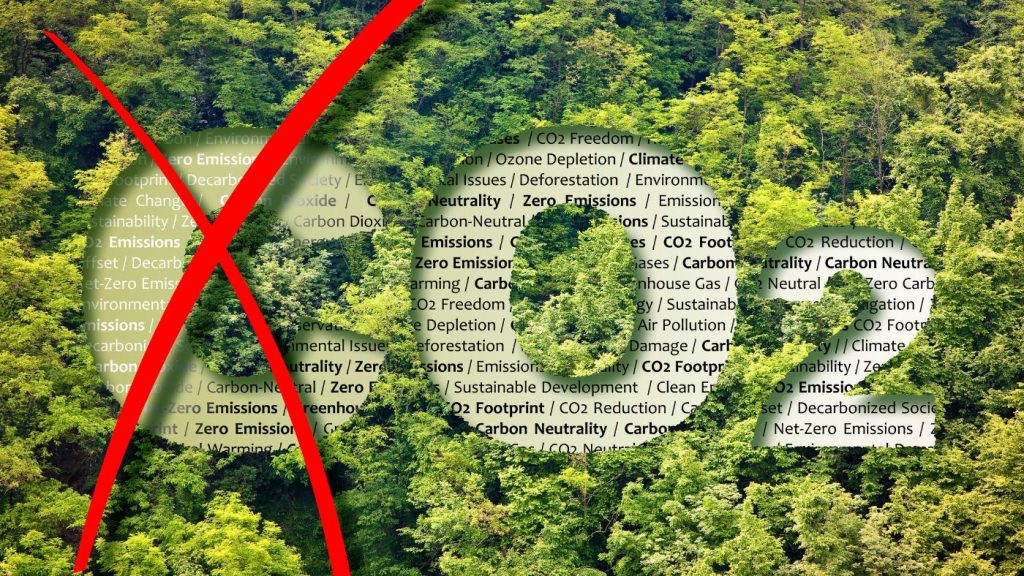 Erdő szén-dioxid