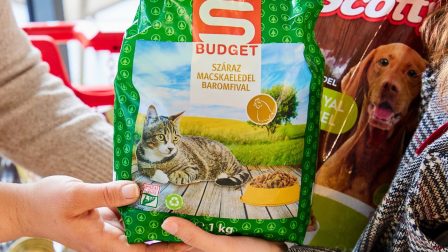 Idén is több gyűjtést indít a menhelyi állatok megsegítésére a SPAR Magyarország