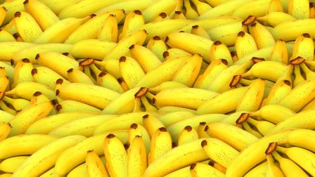 Íme az első génmódosított banán