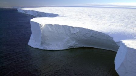 Jégtakaró nagy