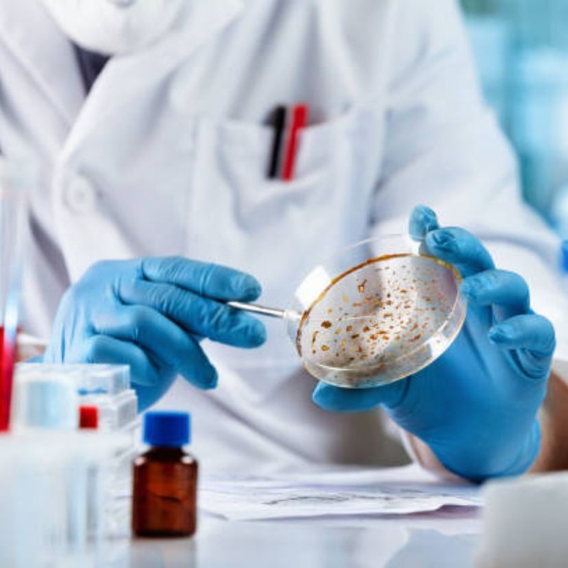 Fontos kutatás az antibiotikum-rezisztens baktériumfajok ellen