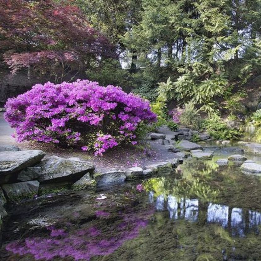 Jeli Arborétum – A „virágos gróf” lenyűgöző ajándéka az utókornak