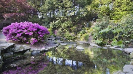 Jeli Arborétum – A „virágos gróf” lenyűgöző ajándéka az utókornak