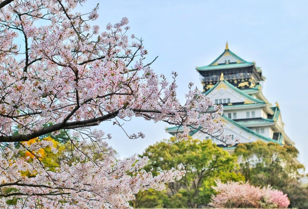 virágzó cseresznyefa, a háttérben egy japán házzal 