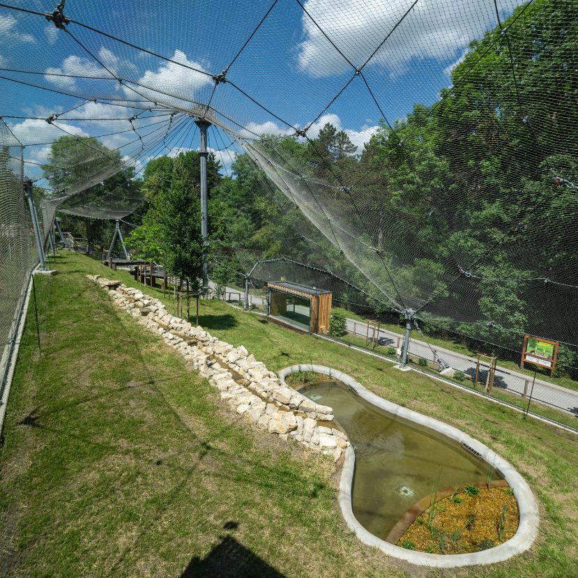 Nagymacskakifutót adtak át a veszprémi állatkertben